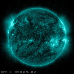 Latest image from SDO AIA 131A